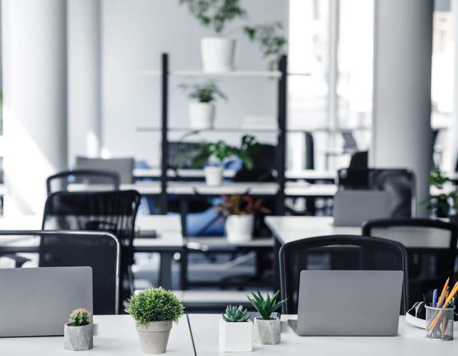 coworking-eco-office-and-absence-of-workers-during-2025-03-18-17-28-06-utc.jpg
